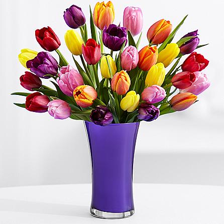 30 Multi-Colored Tulips